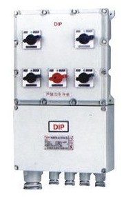 ABXM(D)-F粉尘防爆照明(动力)配电箱(DIPA20 TA，T5)